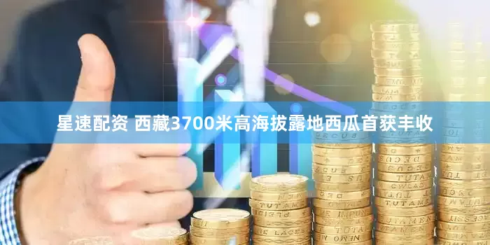星速配资 西藏3700米高海拔露地西瓜首获丰收