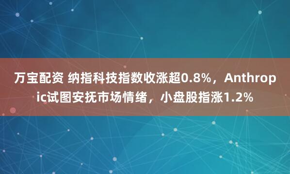 万宝配资 纳指科技指数收涨超0.8%，Anthropic试图安抚市场情绪，小盘股指涨1.2%